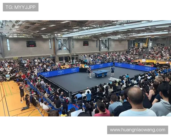 德甲联赛乒乓球赛事全面解析与未来发展趋势探讨