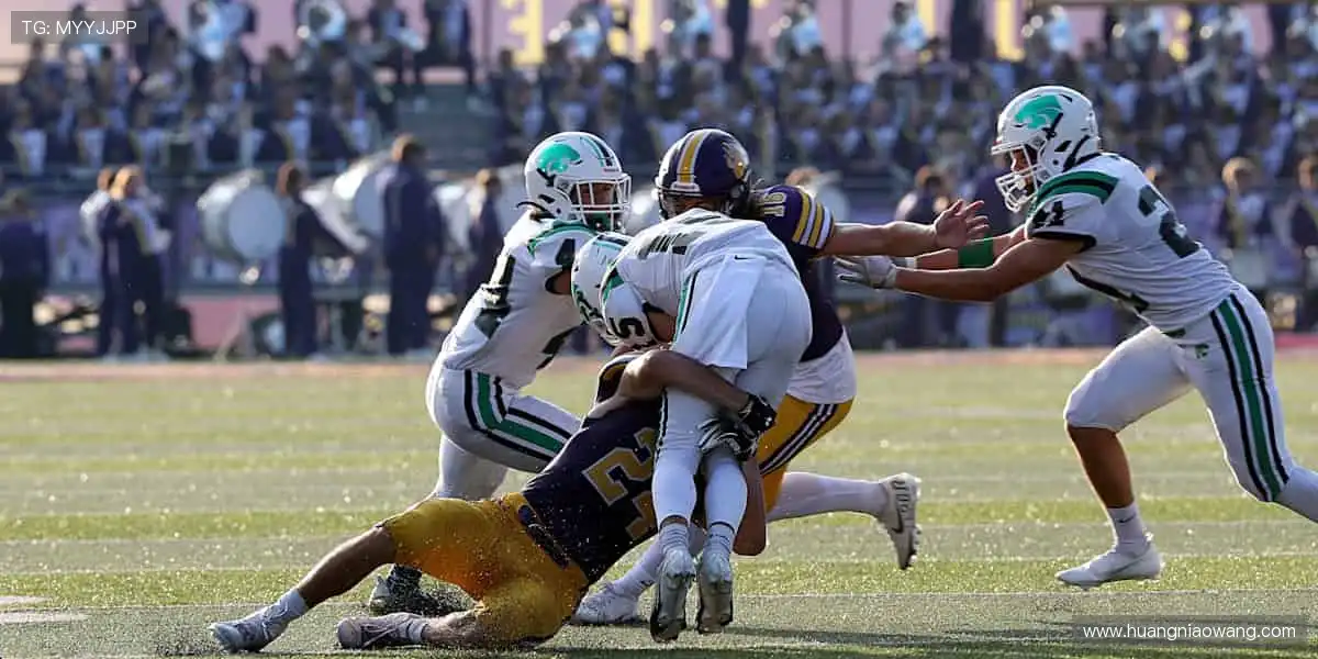 📱多屏同步,随时随地捕捉精彩瞬间!📻